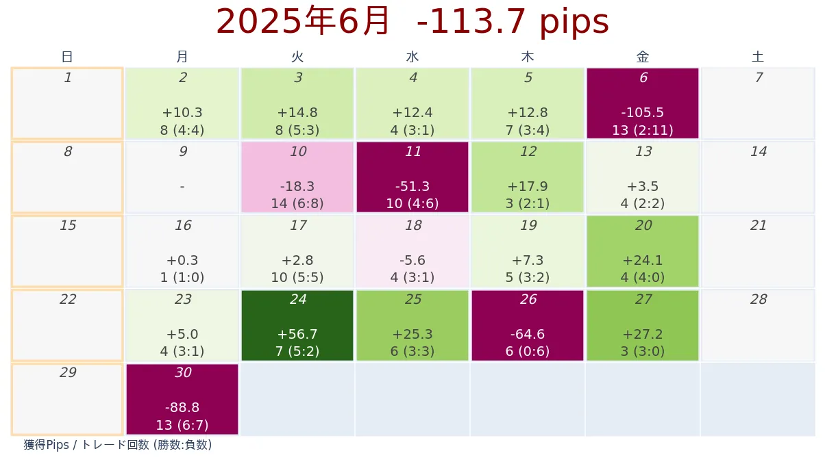 2025年6月 FX月次ログ